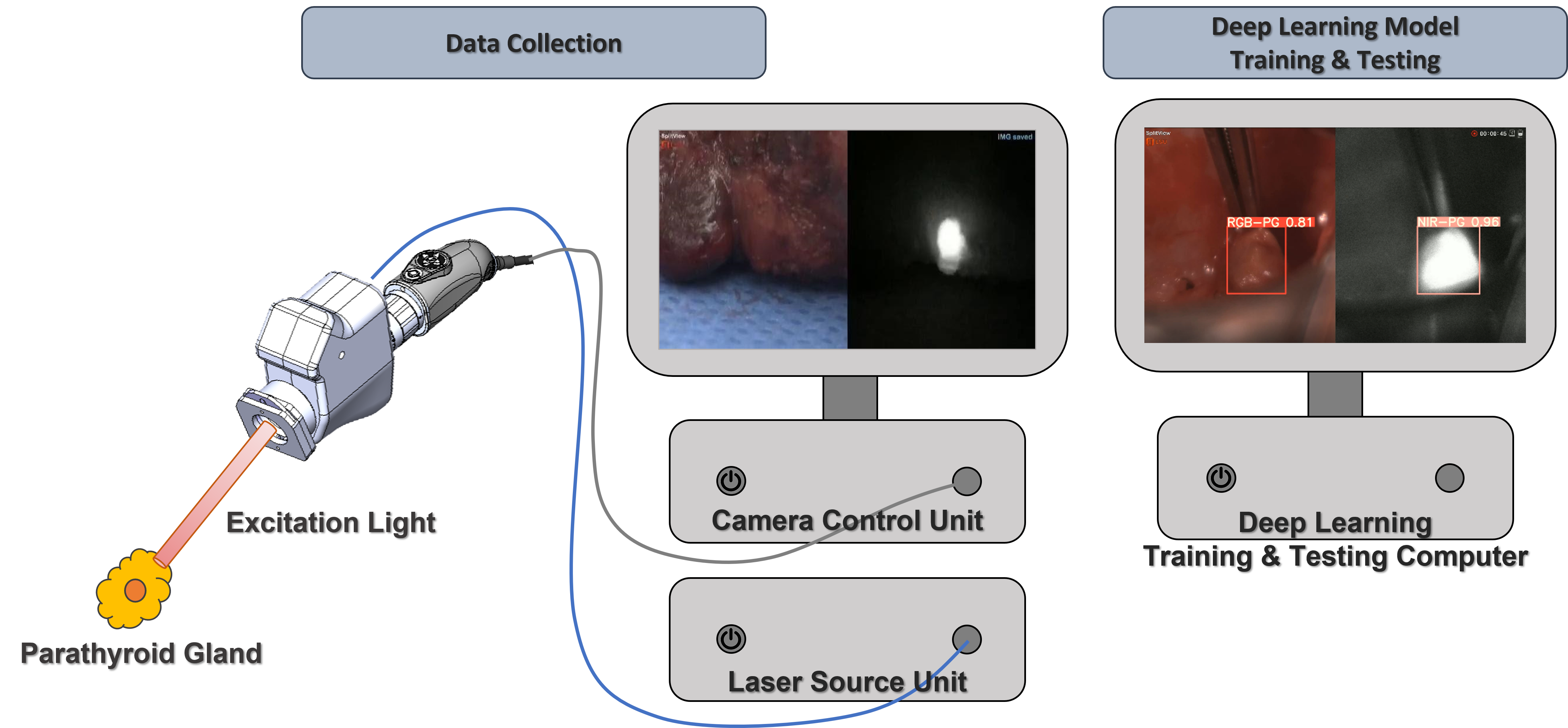 A coaxial excitation, dual-red-green-blue/near-infrared paired imaging system toward computer-aided detection of parathyroid glands in situ and ex vivo